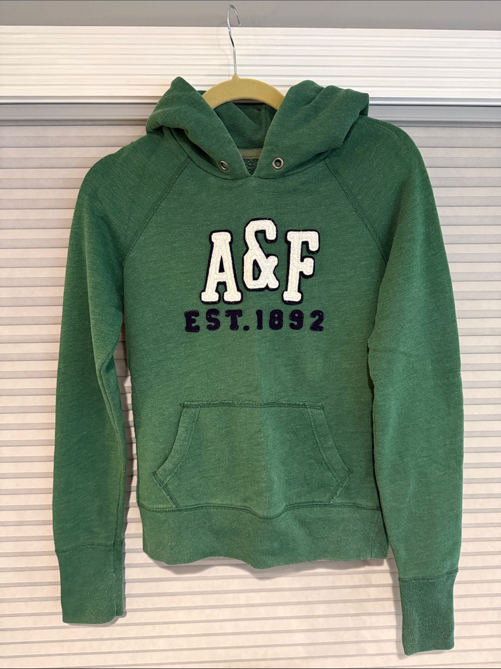 Abercrombie & Fitch Forest Green A&F Pull-Over Hoodie